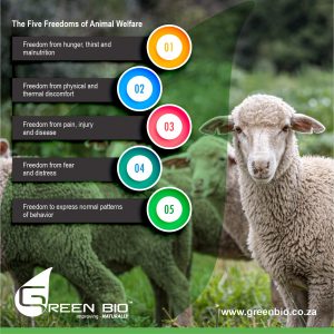 Five Freedoms of Animal Welfare