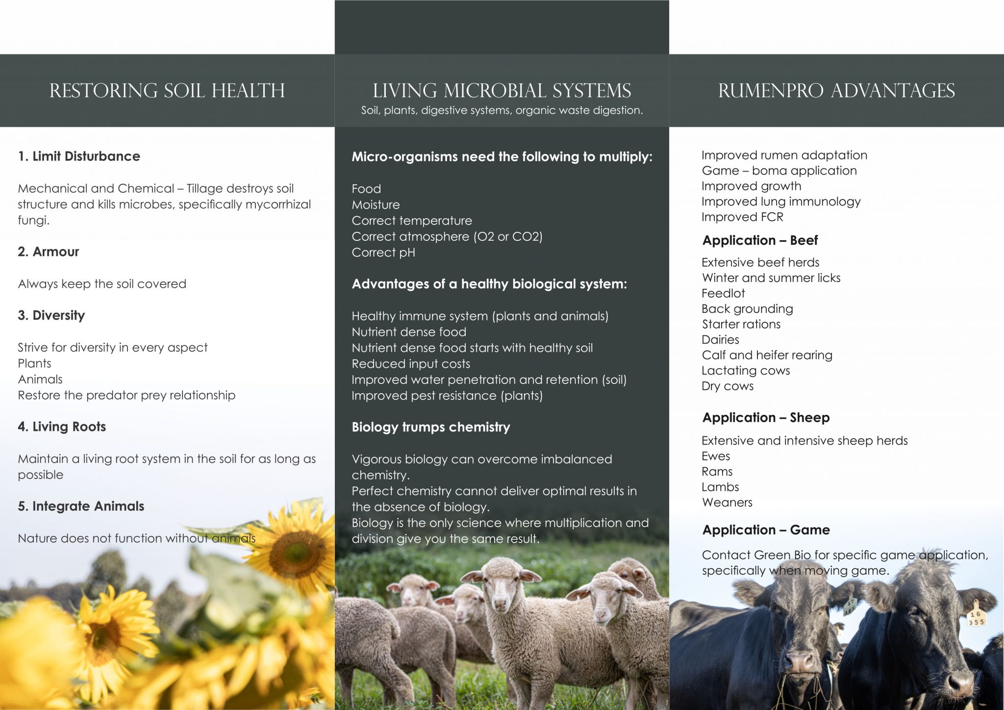 Rumenpro probiotics for ruminants Rumenpro Brochure