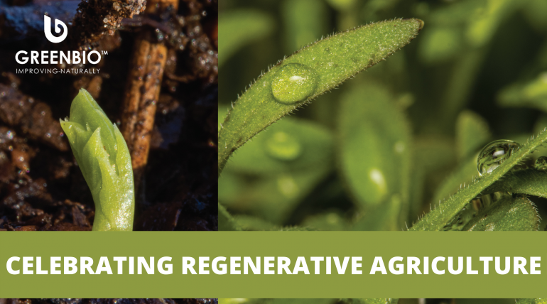Celebrating Regenerative Agriculture